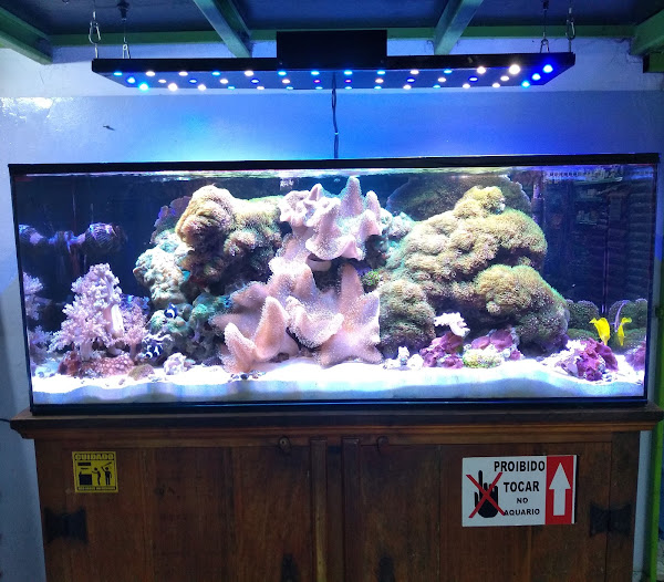 Foto 2 Big Pets Pet Shop