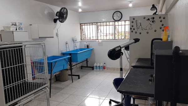 Foto 1 Pet & Gatô Petshop