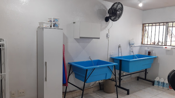 Foto 4 Pet & Gatô Petshop