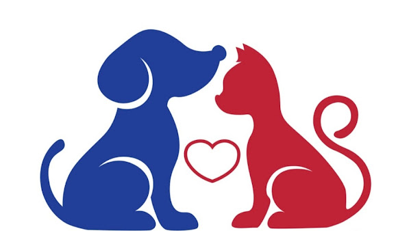 Foto 6 Pet & Gatô Petshop