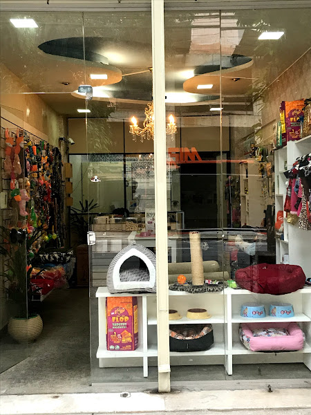 Foto 4 @caomaniababydog