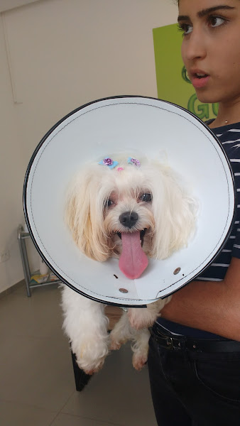 Foto 2 Pet Shop Faro Fino