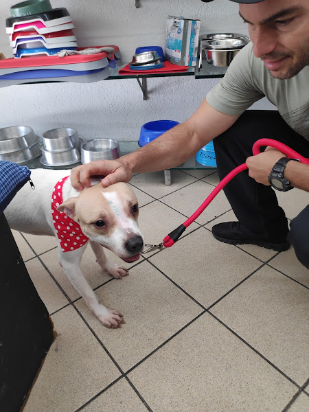 Foto 3 Pet Shop Faro Fino