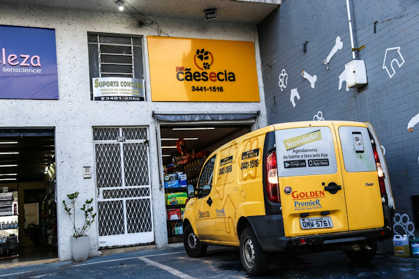 Foto 4 Pet Cães e Cia - Unidade OP