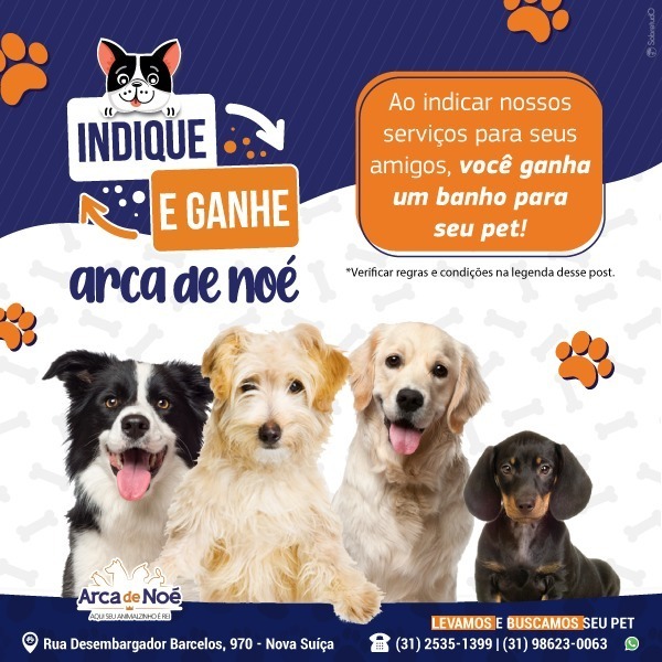 Foto 5 Arca de Noé - Pet Shop - Banho - Rações - Acessórios