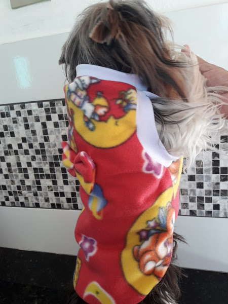 Foto 2 ROUPAS PET BH