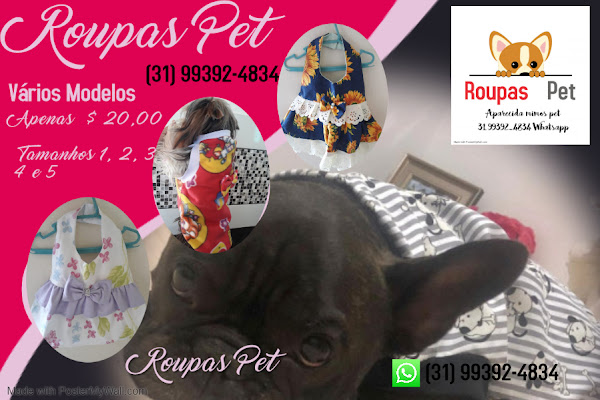 Foto 3 ROUPAS PET BH