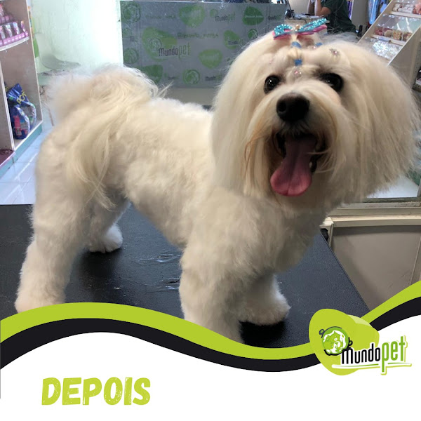 Foto 1 Mundo Pet BH - Conj. Califórnia I