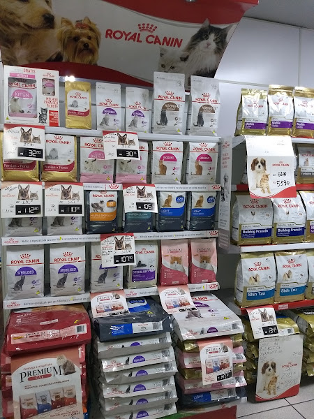 Foto 5 Dog's Shop Sion