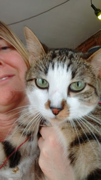 Foto 3 Pet Shop Vovó Laika