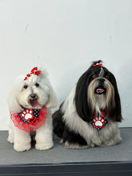 Foto 3 Shopping dos Animais