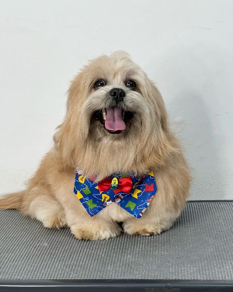 Foto 5 Shopping dos Animais