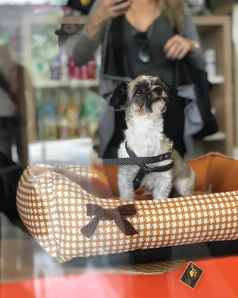 Pet Park - Clínica Veterinária e Pet Shop