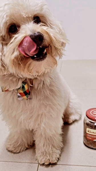 Foto 1 Pet Park - Clínica Veterinária e Pet Shop