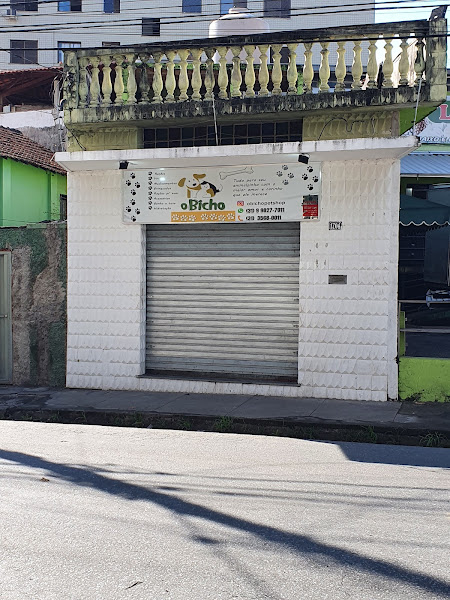 Foto 3 O Bicho Pet Shop Jaraguá