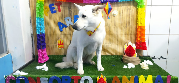 Foto 4 Pet shop conforto animal