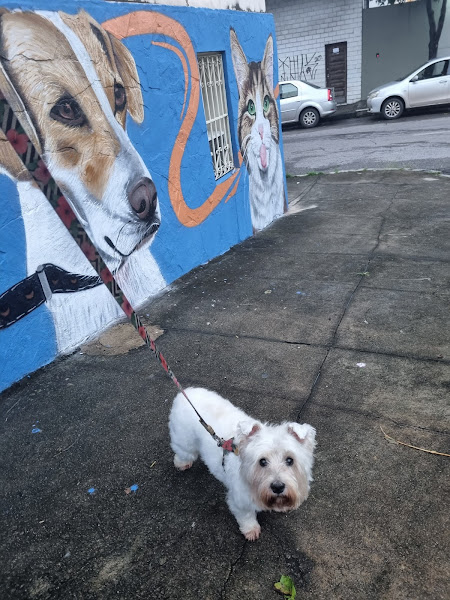 Foto 2 Nosso Mundo Pet