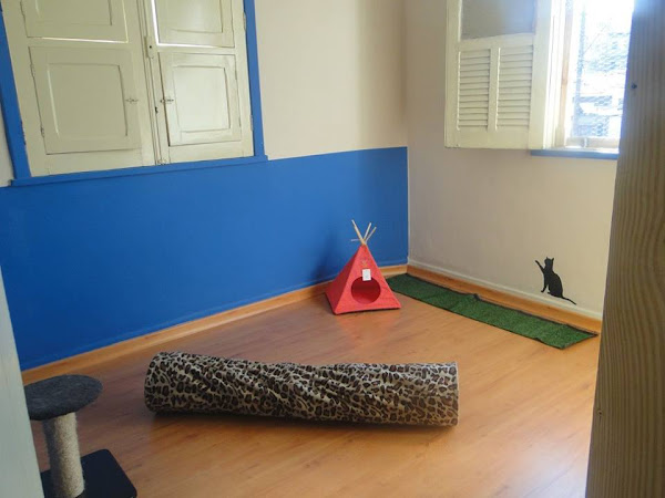 Foto 4 Nosso Mundo Pet