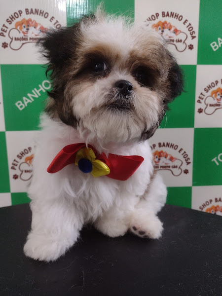 Foto 2 Pet Shop Rações Ponto Cão