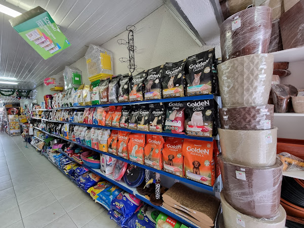 Foto 1 Pets Jaraguá