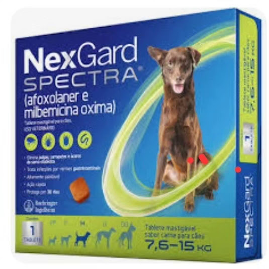 Foto 2 Pets Jaraguá