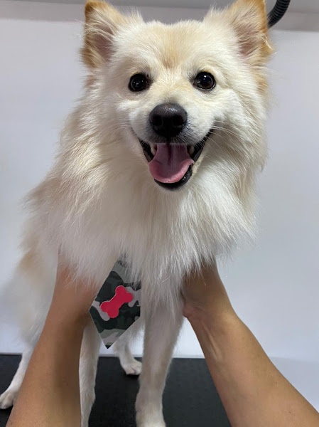 Foto 5 Pet Show Foto 5 Pet Show