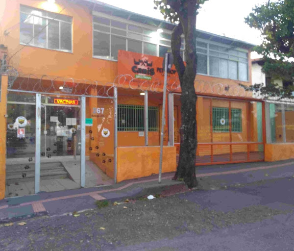 Canis Grooming Canis Grooming