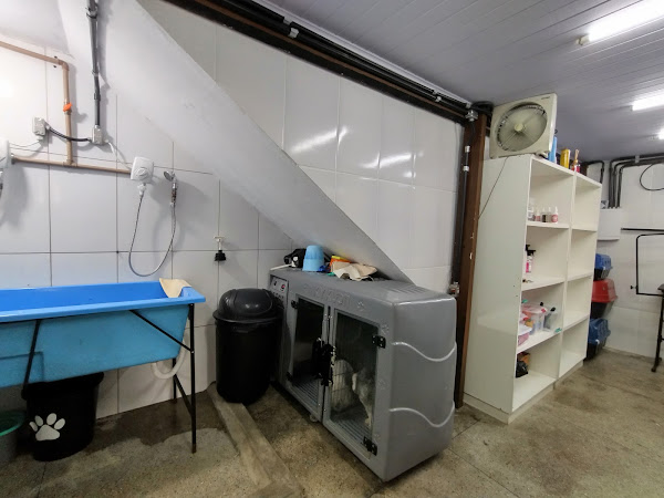 Foto 5 Simba Pet Shop