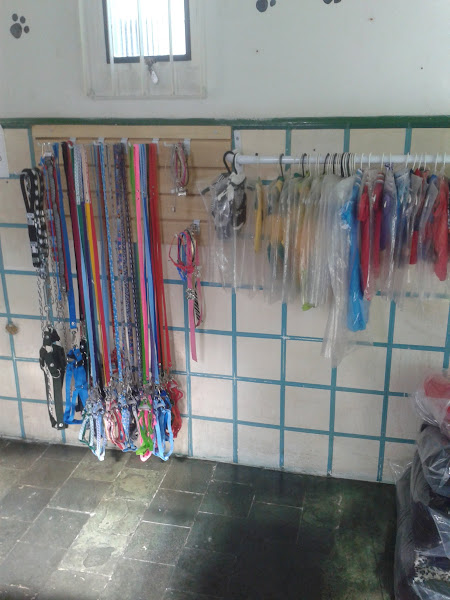 Foto 1 Meu Cãotinho