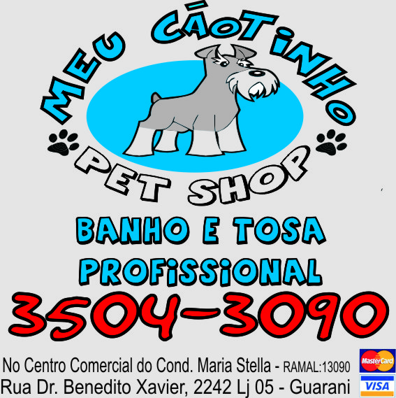 Foto 2 Meu Cãotinho