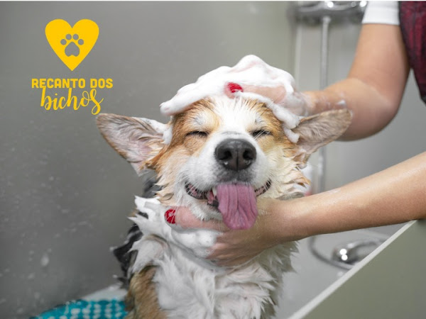 Foto 1 Recanto dos Bichos