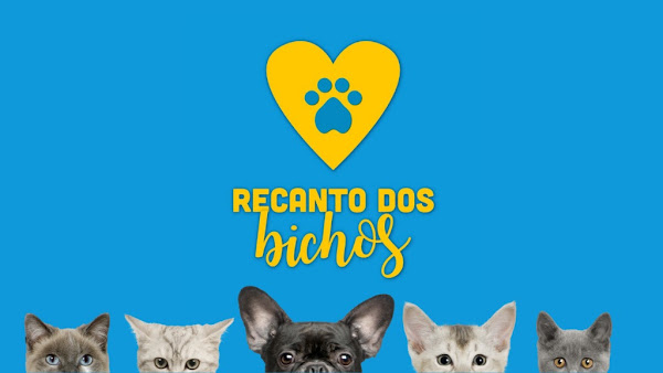 Foto 2 Recanto dos Bichos