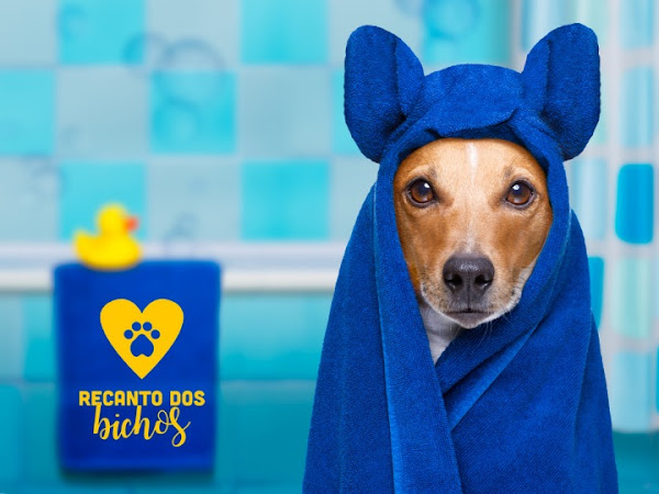 Foto 3 Recanto dos Bichos