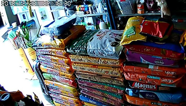 Foto 3 Snoopy dog ração