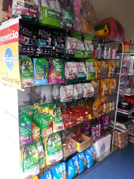 Foto 1 Dog Sitter banho e tosa