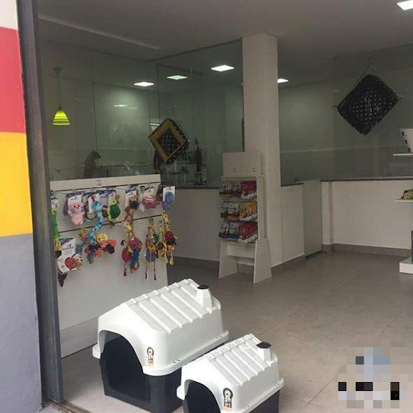 Foto 1 The Dog PetShop