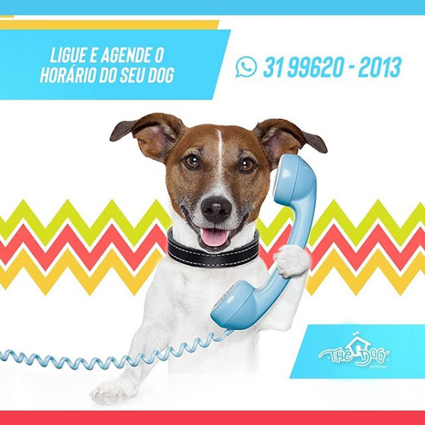 Foto 2 The Dog PetShop