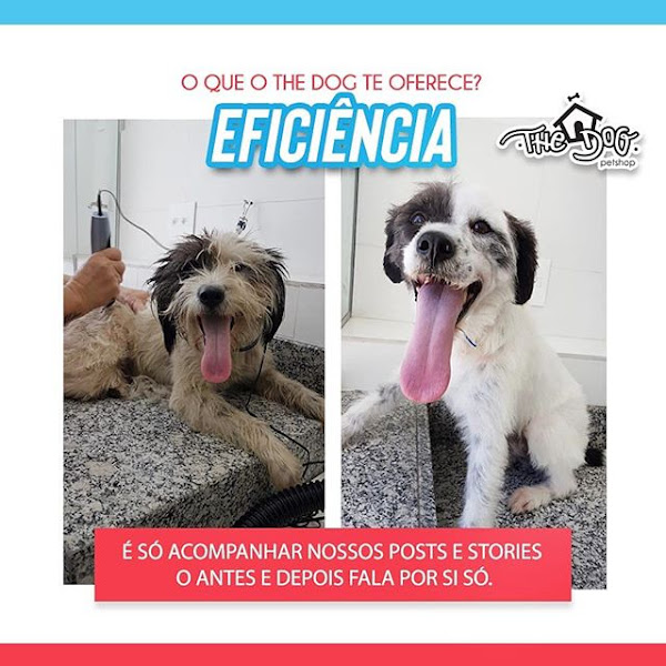 Foto 4 The Dog PetShop