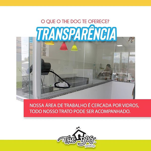 Foto 5 The Dog PetShop