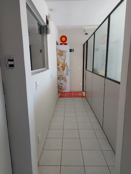 Foto 4 O Cão Nosso Clínica Veterinária