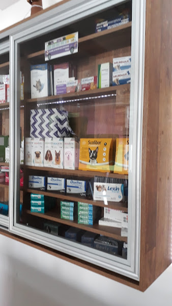 Foto 1 Vether Hospital Veterinário