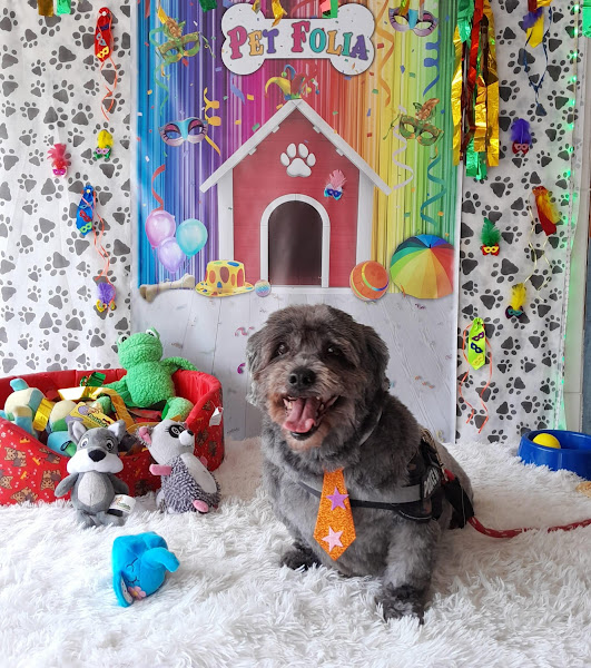 Foto 1 Elisa Ono de Souza Pet Shop