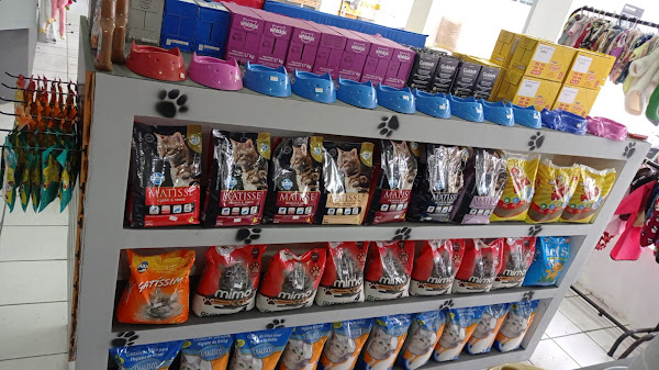 Foto 2 Elisa Ono de Souza Pet Shop