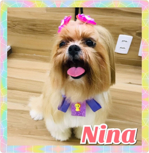 Foto 2 Da Rua Pet Shop