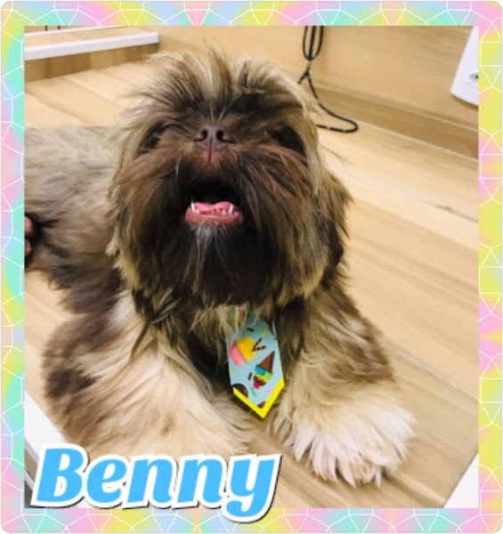 Foto 3 Da Rua Pet Shop