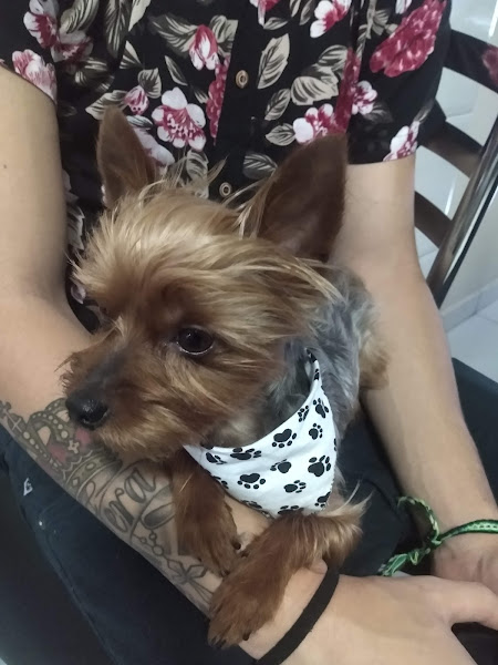 Foto 3 ANIMA REI PET SHOP