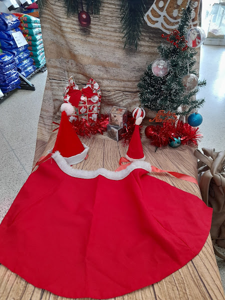 Foto 1 Pet Shop Cheio de Bichos