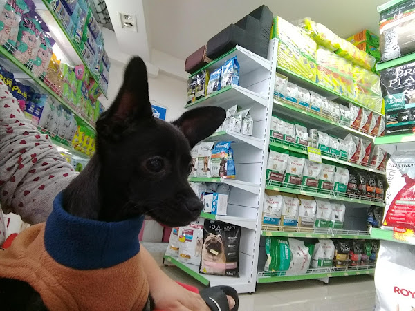 Foto 1 Pet Shop Amor de Bicho