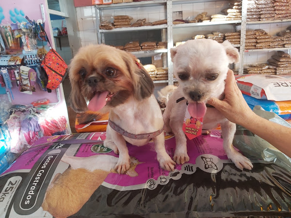 Foto 5 Pet Shop Catarina