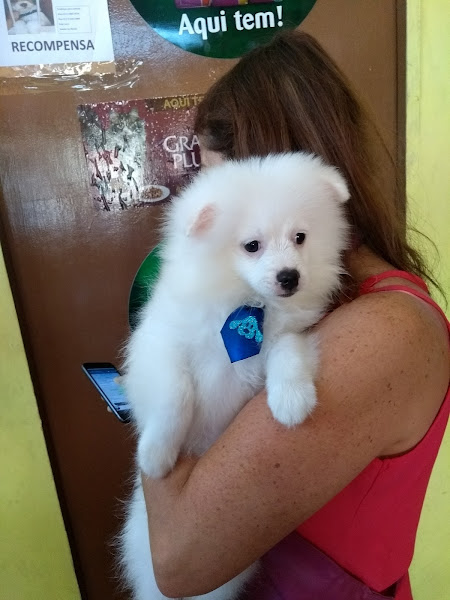 Foto 6 Pet Shop Catarina